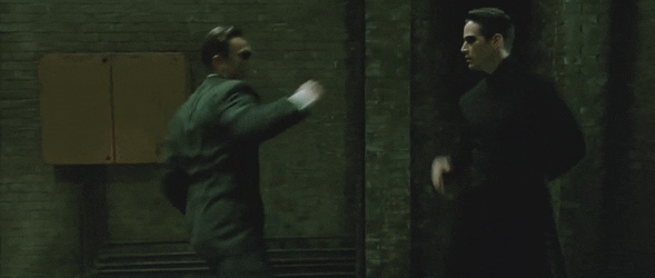 Better than 'Ip Man'?