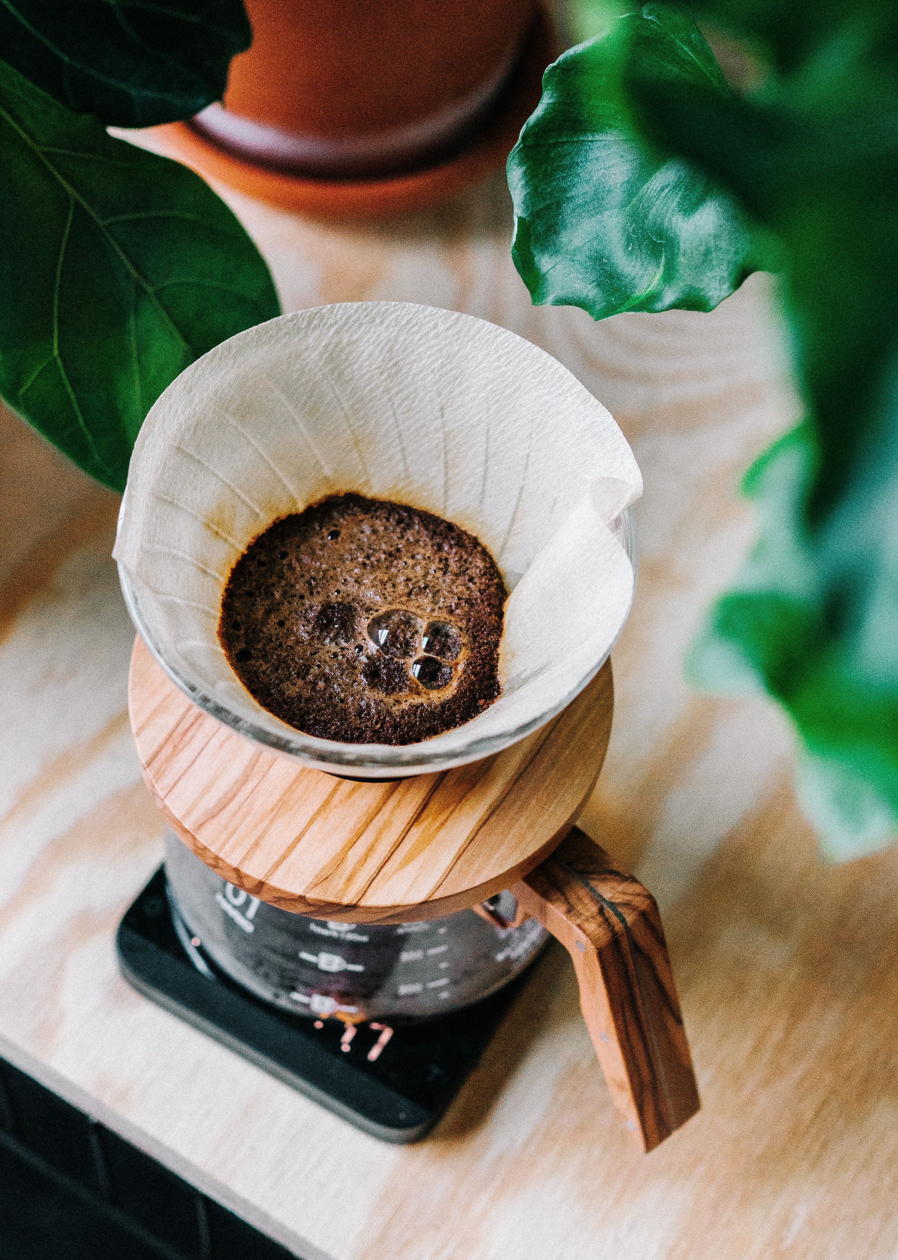 Mike Marquez on Unsplash