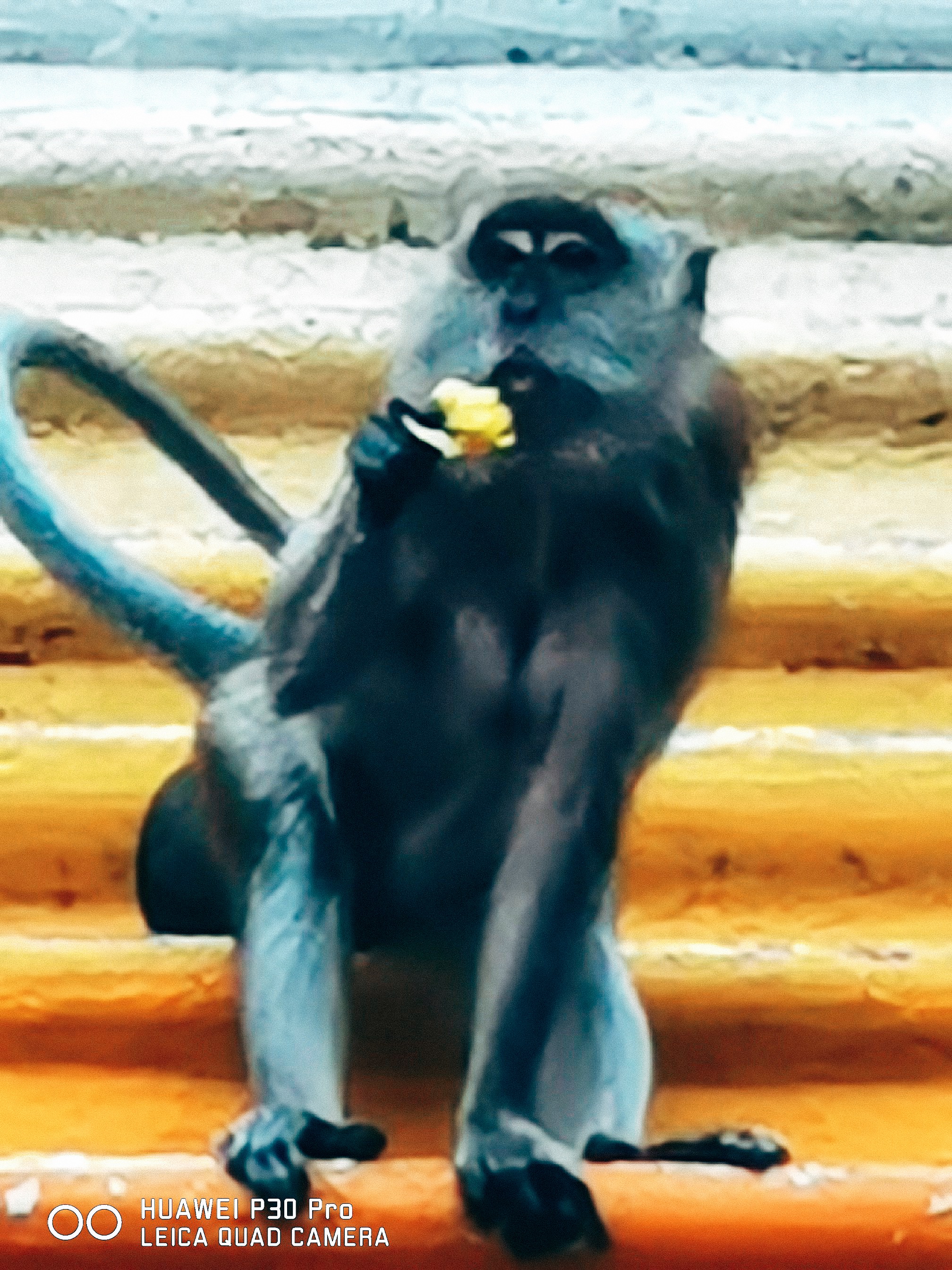 Photo credit: Sufian Ghaffar.