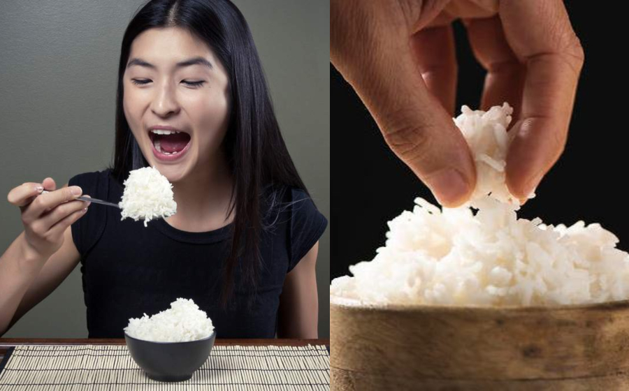 nasi-header.jpg