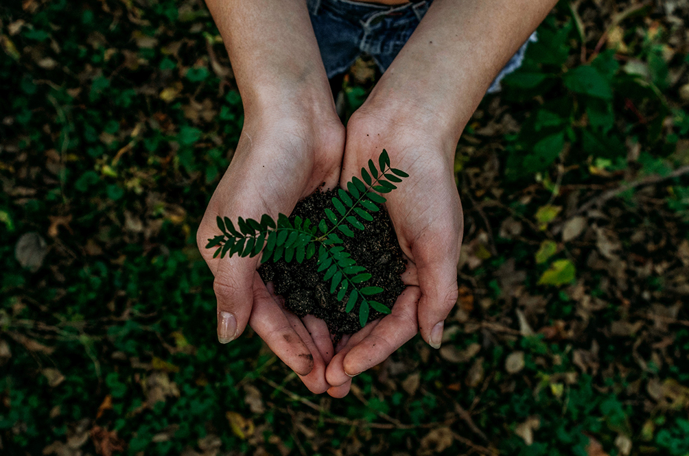 noah-buscher-1162202-unsplash.jpg