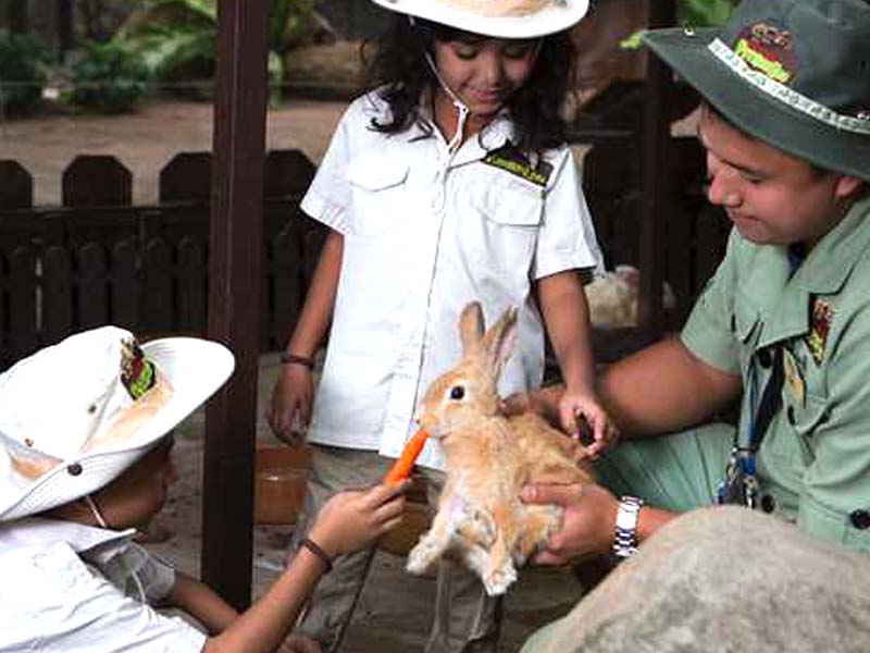 Lost World of Tambun Can we bring them home?