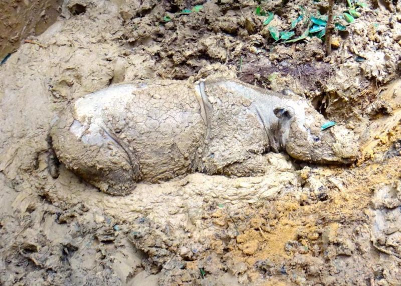 Iman is not doing too well.