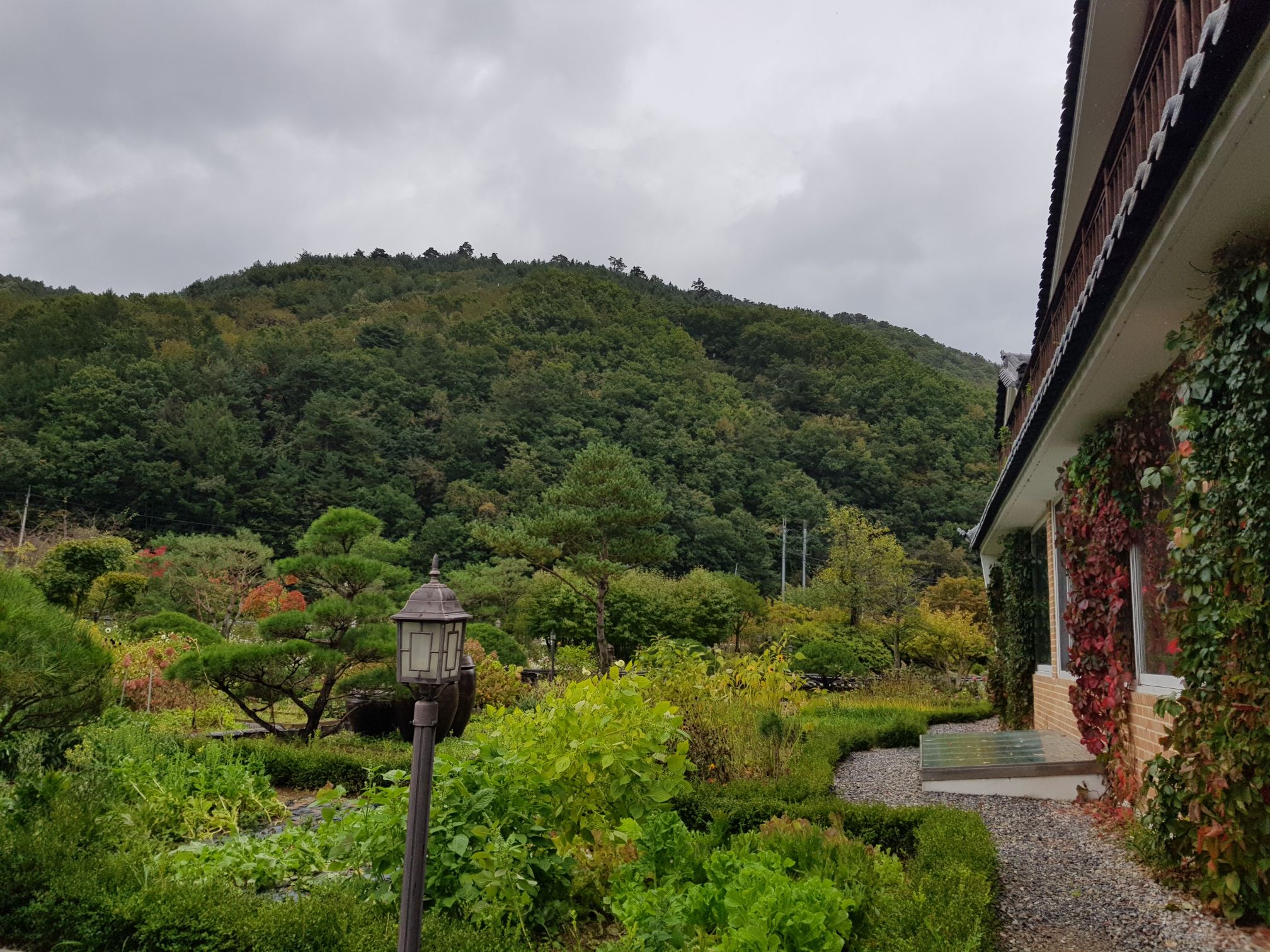 aView from the restaurant. From what we hear, it's even more beautiful in Autumn and winter