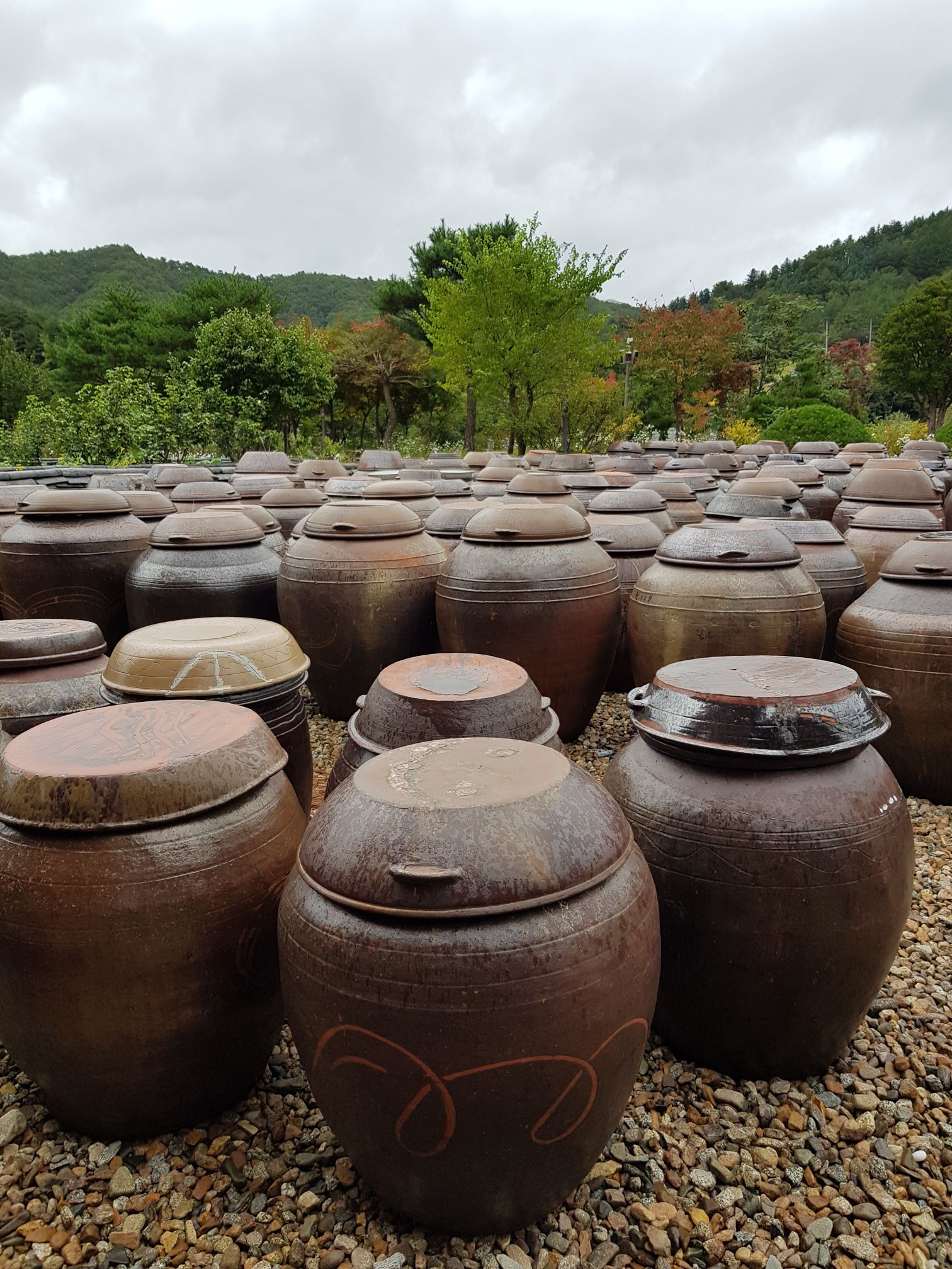 These pots are filled with fermented food, which often take months, if not years to be ready for consumption