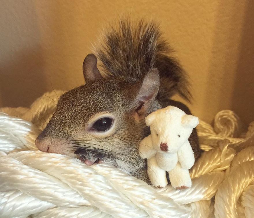 Meet Jill's best friend.
