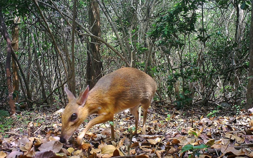 The Telegraph UK What a pleasant surprise!