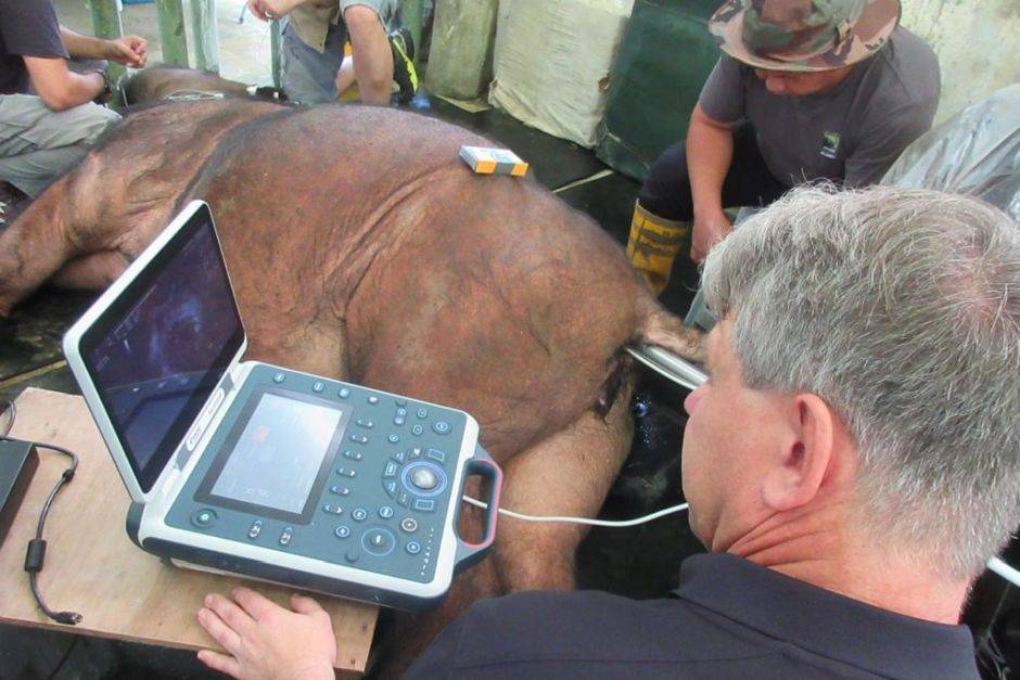 The IVF procedure failed.