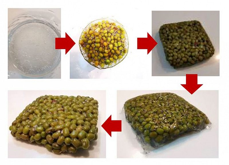 Of course it's inspired by food.