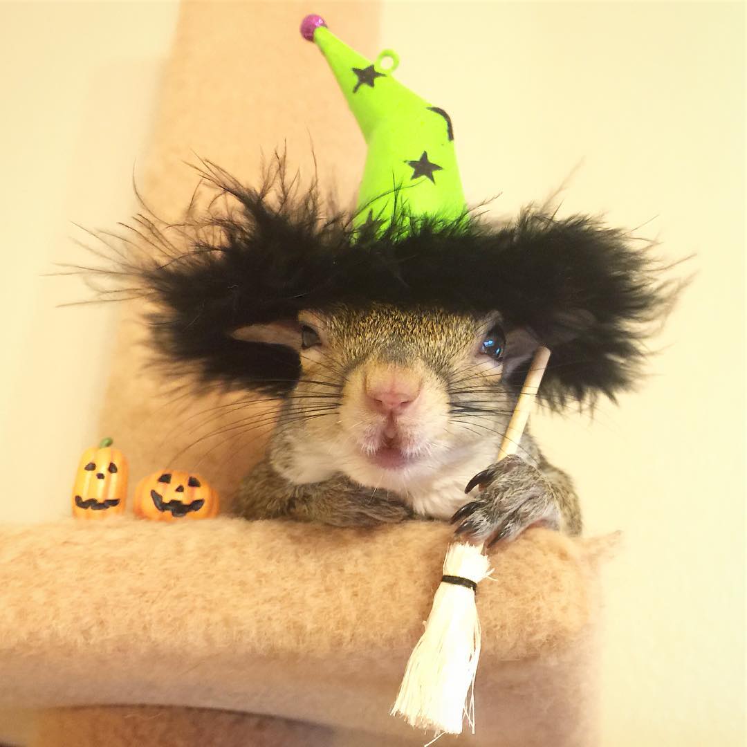 Going all out for Halloween.