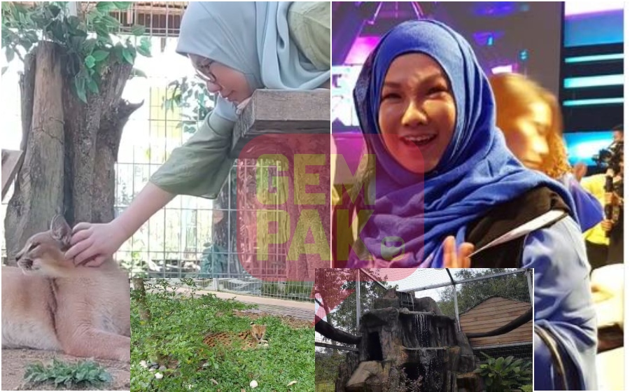netizen-datuk-seri-salmah1.jpg