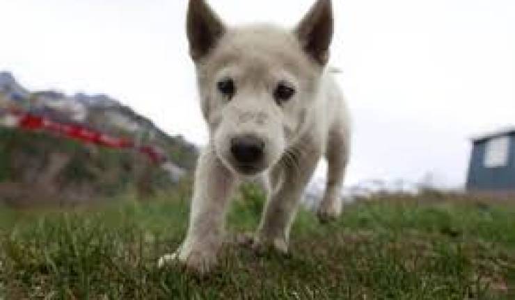 The Sun Why would you do that to something so harmless?