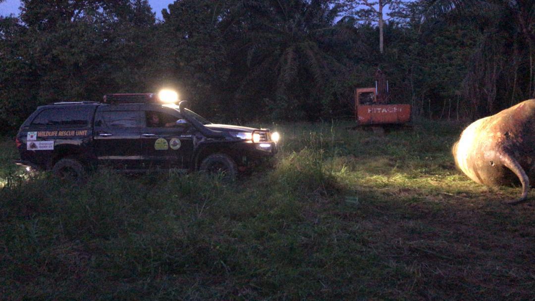 Why would any human do this?