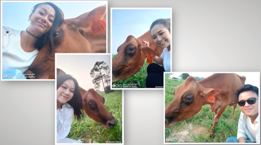 farm-fresh-(4).jpg