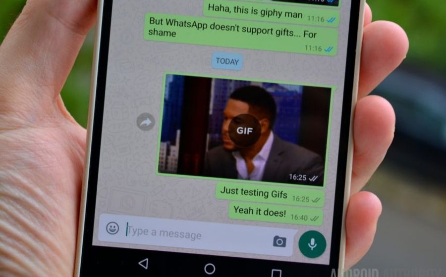 gif2.jpg