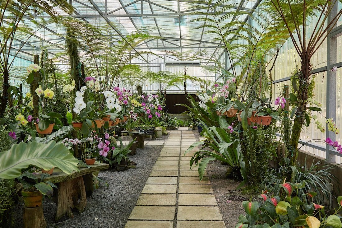 If you love flowers, you're bound to have a whimsical time here.