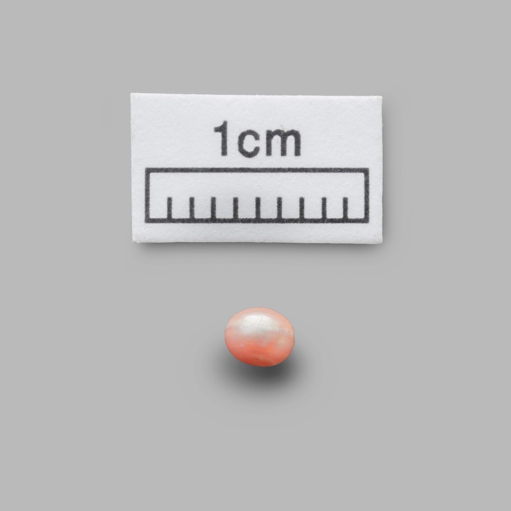 Here's the world's oldest pearl.