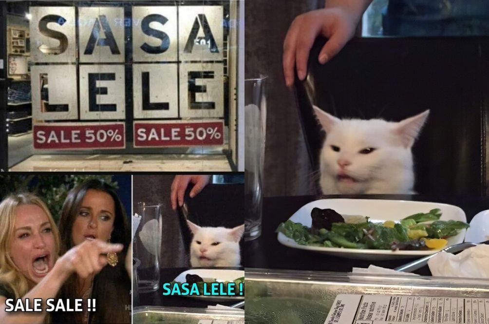 sasalelecat.jpg
