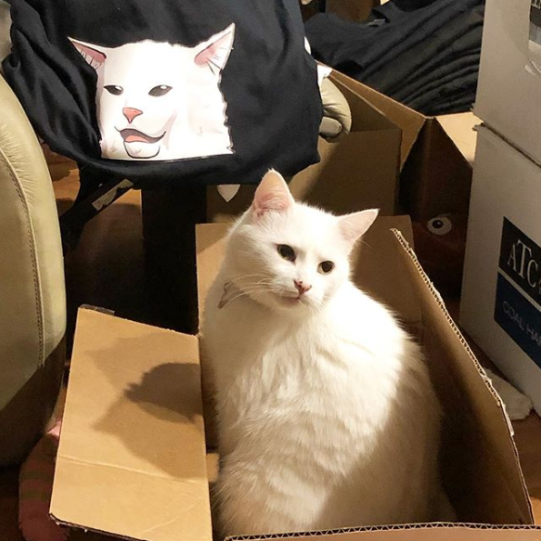 @smudge_lord Instagram Smudge even has his own merch line!