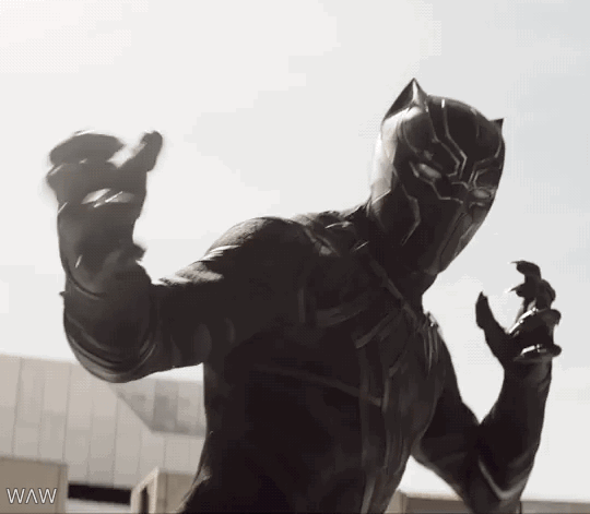 No, not this panther.