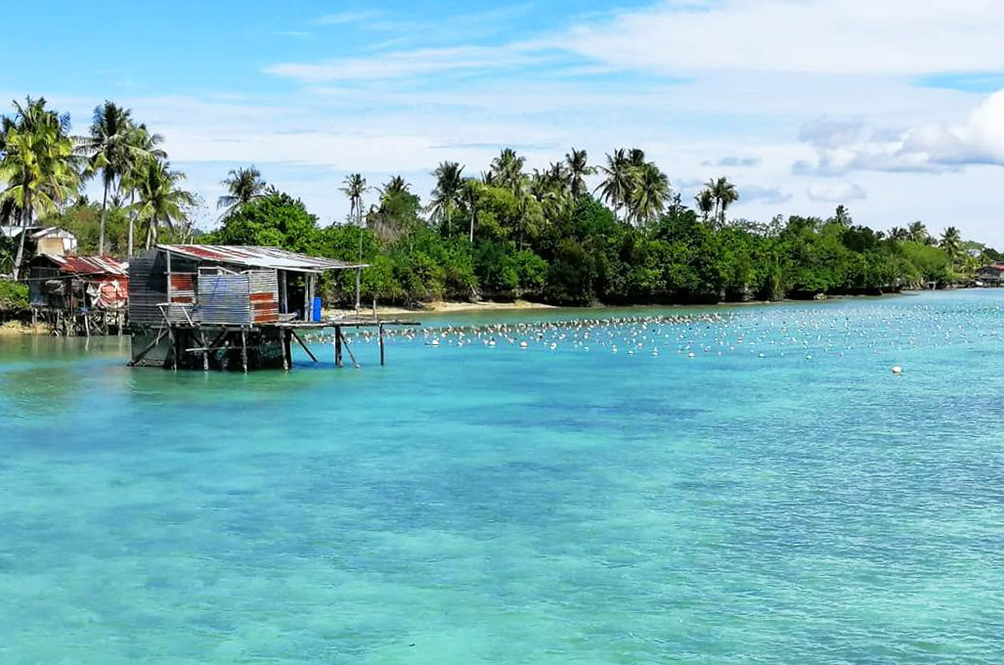 Free holiday to Bum Bum Island? Yes, please!