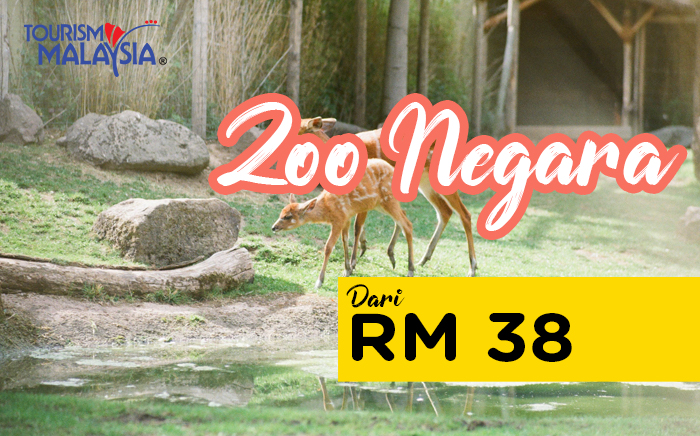 miescapade-1-zoo-negara.jpg