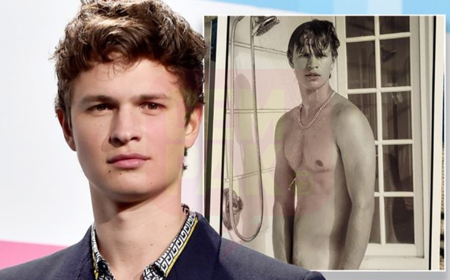 ansel-header.jpg
