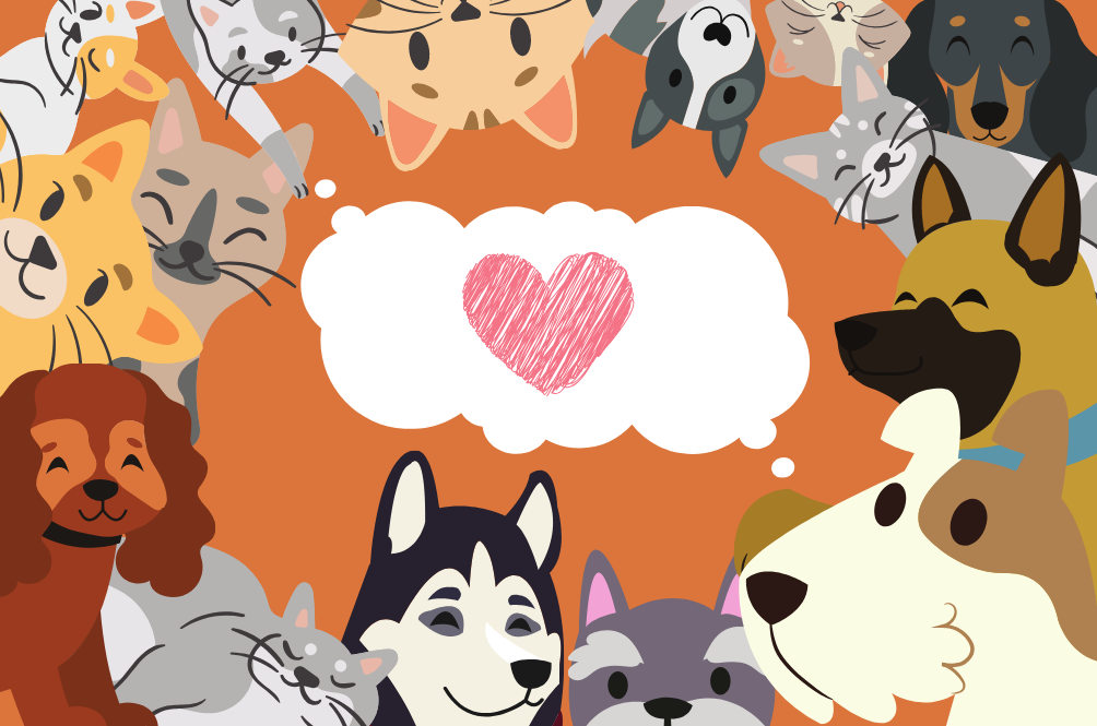 catsdogs.png