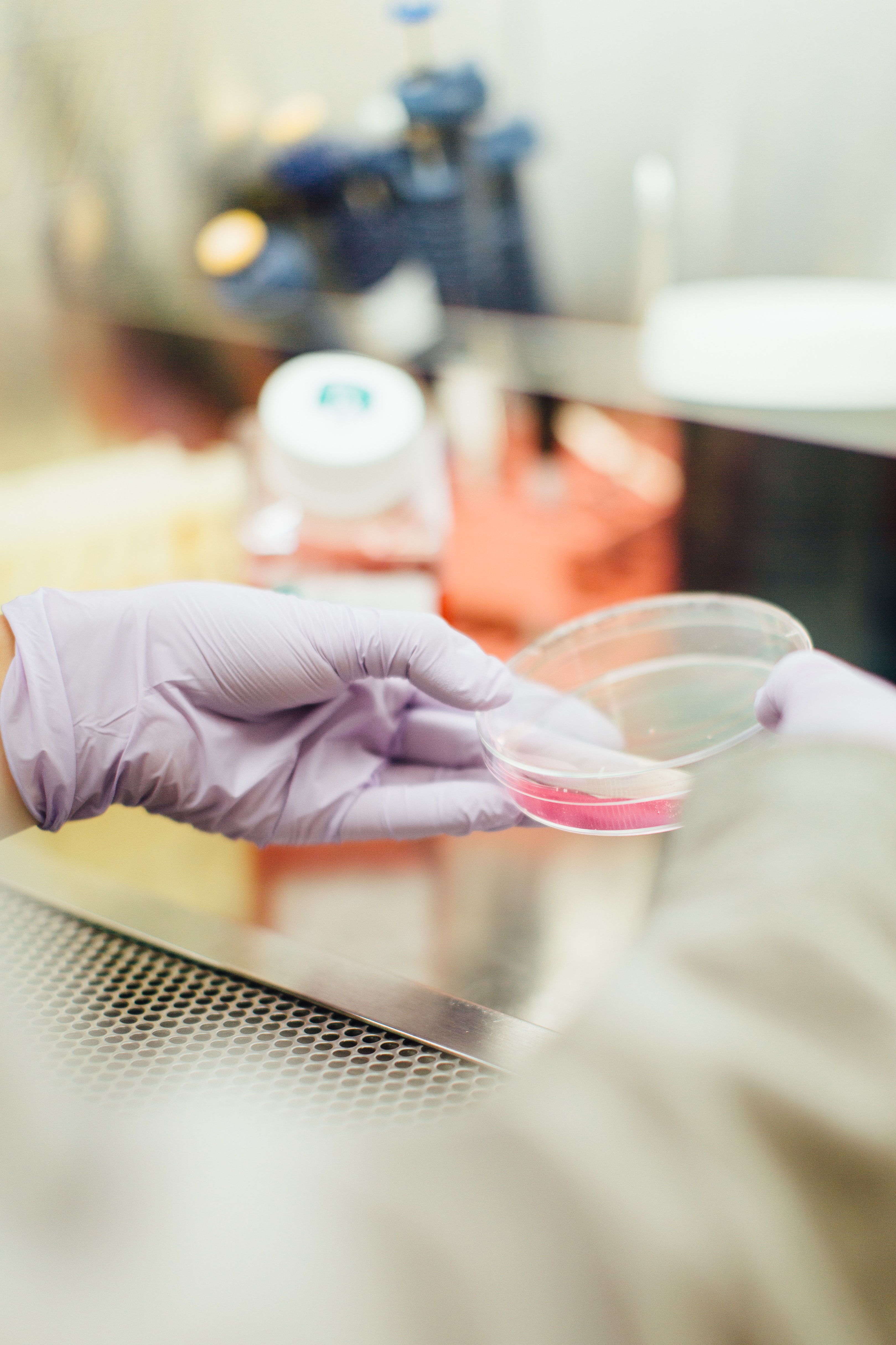 no tests have been done on living organisms so far