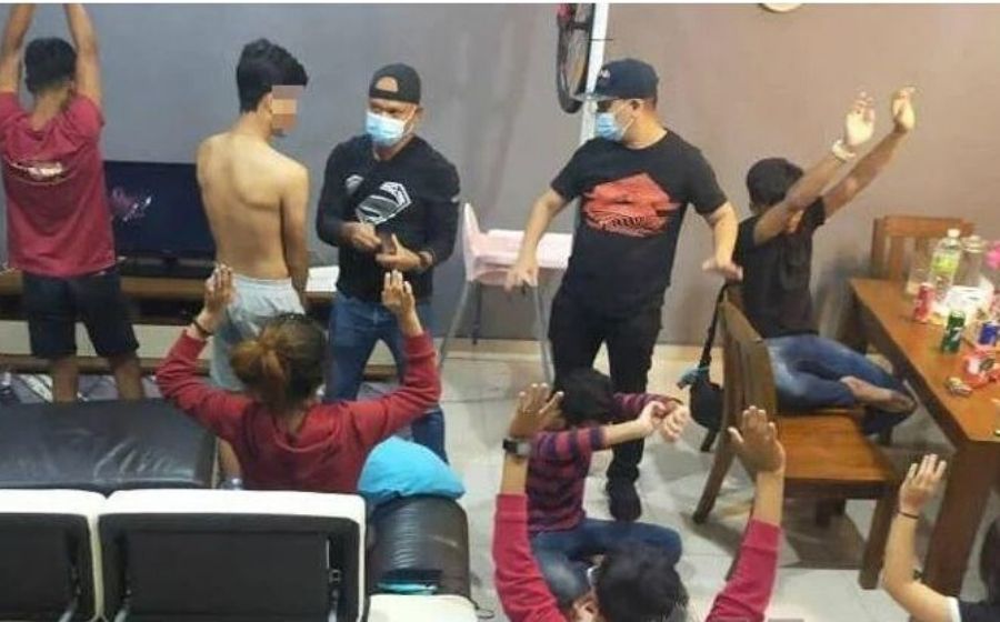 pesta.jpg