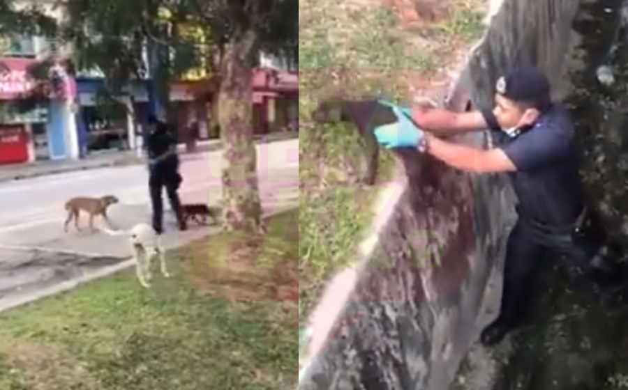 polis-selamat-anjing-header.jpg