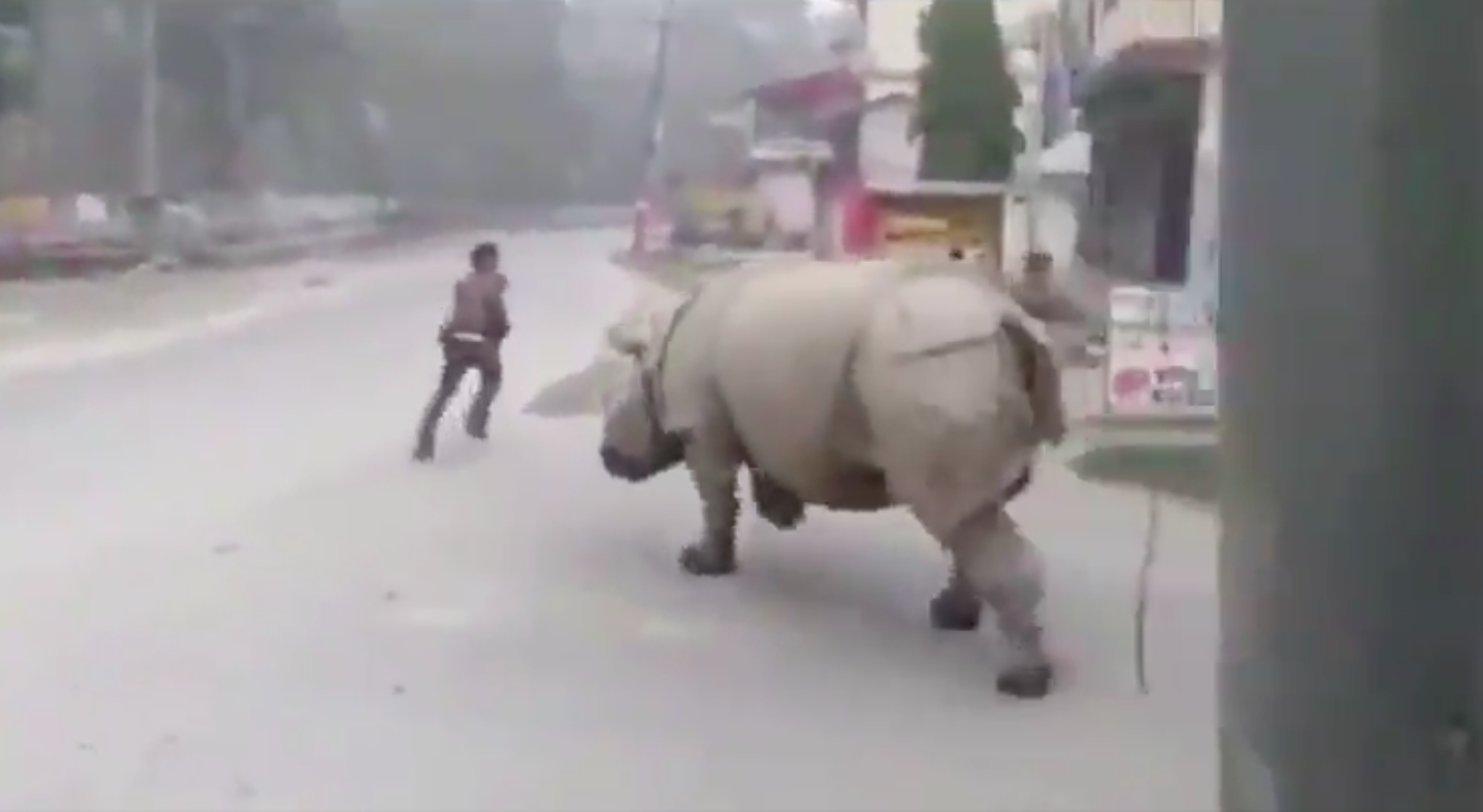 'Sir, please stay home'.