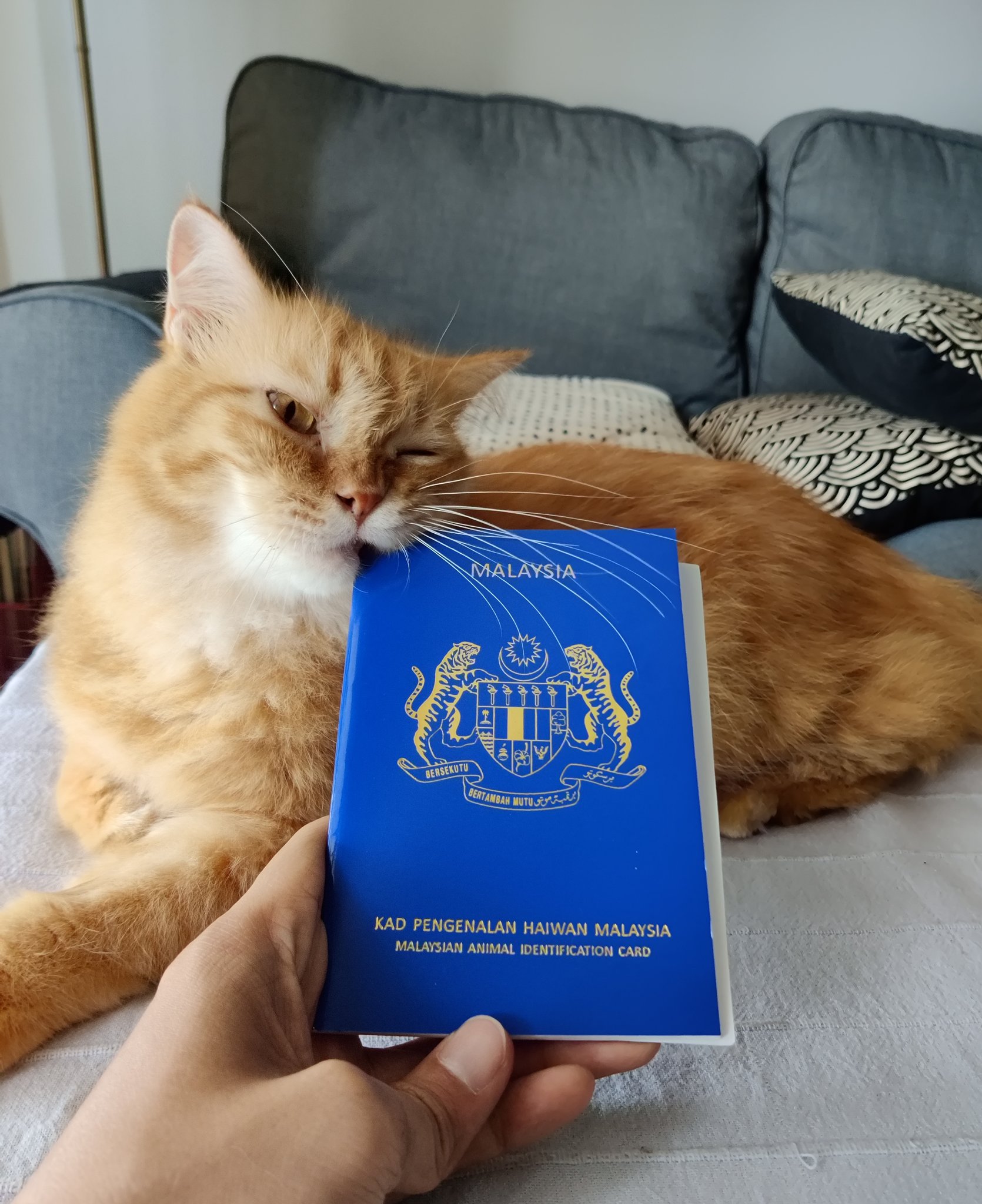 Adorable little passport.