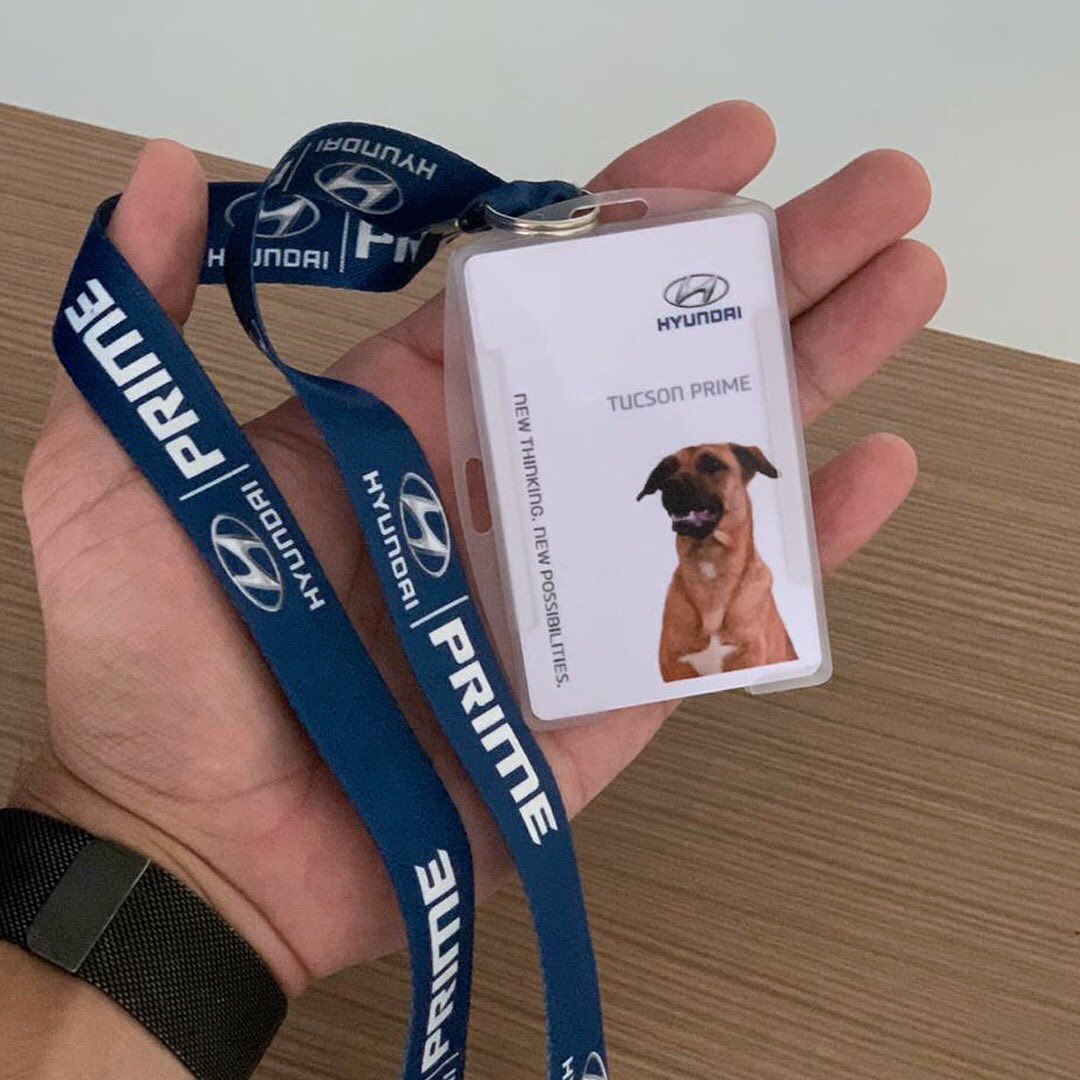 Instagram/hyundaibr Tag into work with this pass.