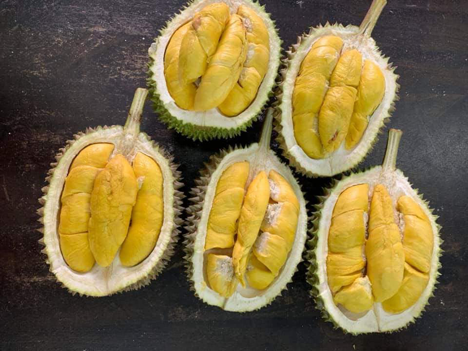 For all your durian craving.