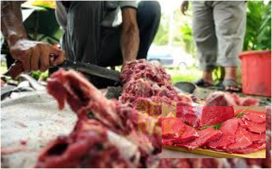 daging-korban_1.jpg