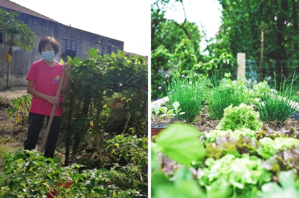 garden.jpg