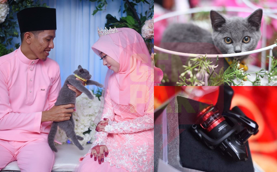 kucing-hantaran-header-(1).jpg