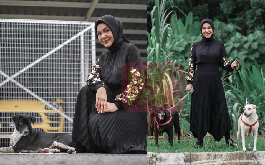 umie-blackie-header.jpg
