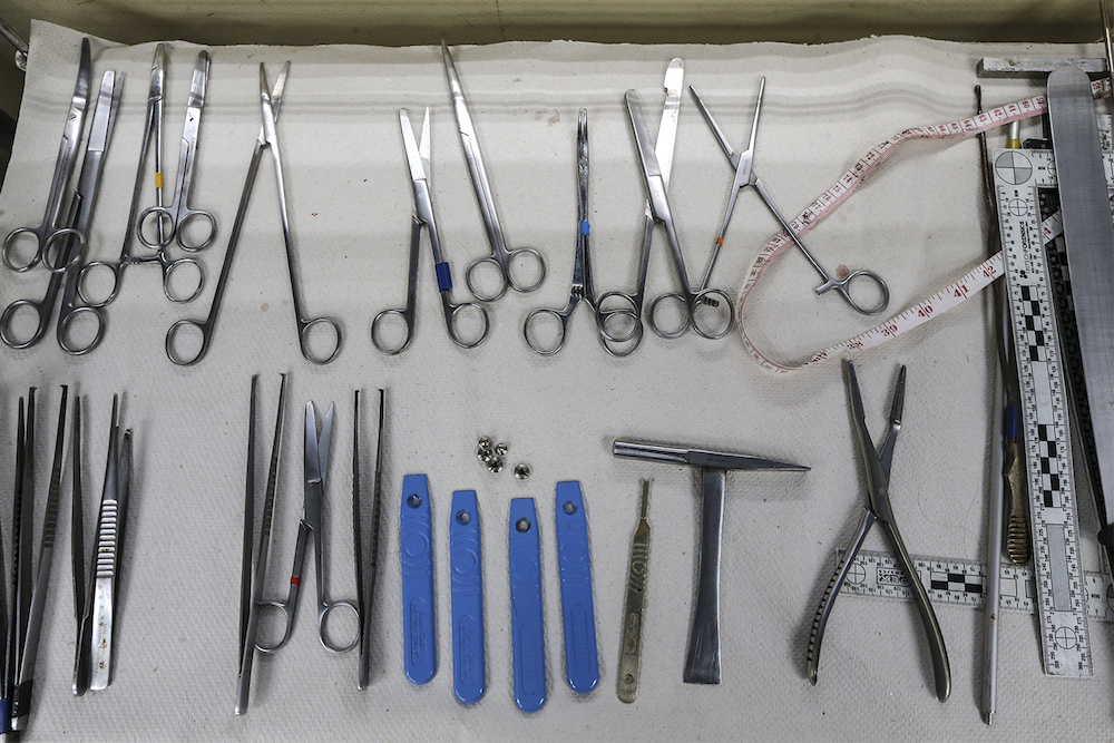 Malay Mail A pathologist's best friend.