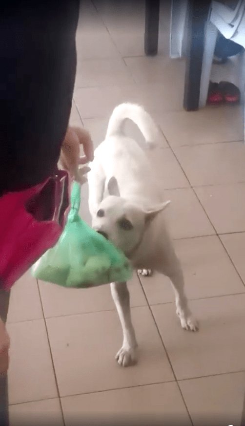 Your order is ready, sir!