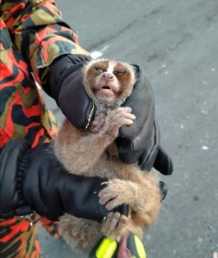 I just want to go home.