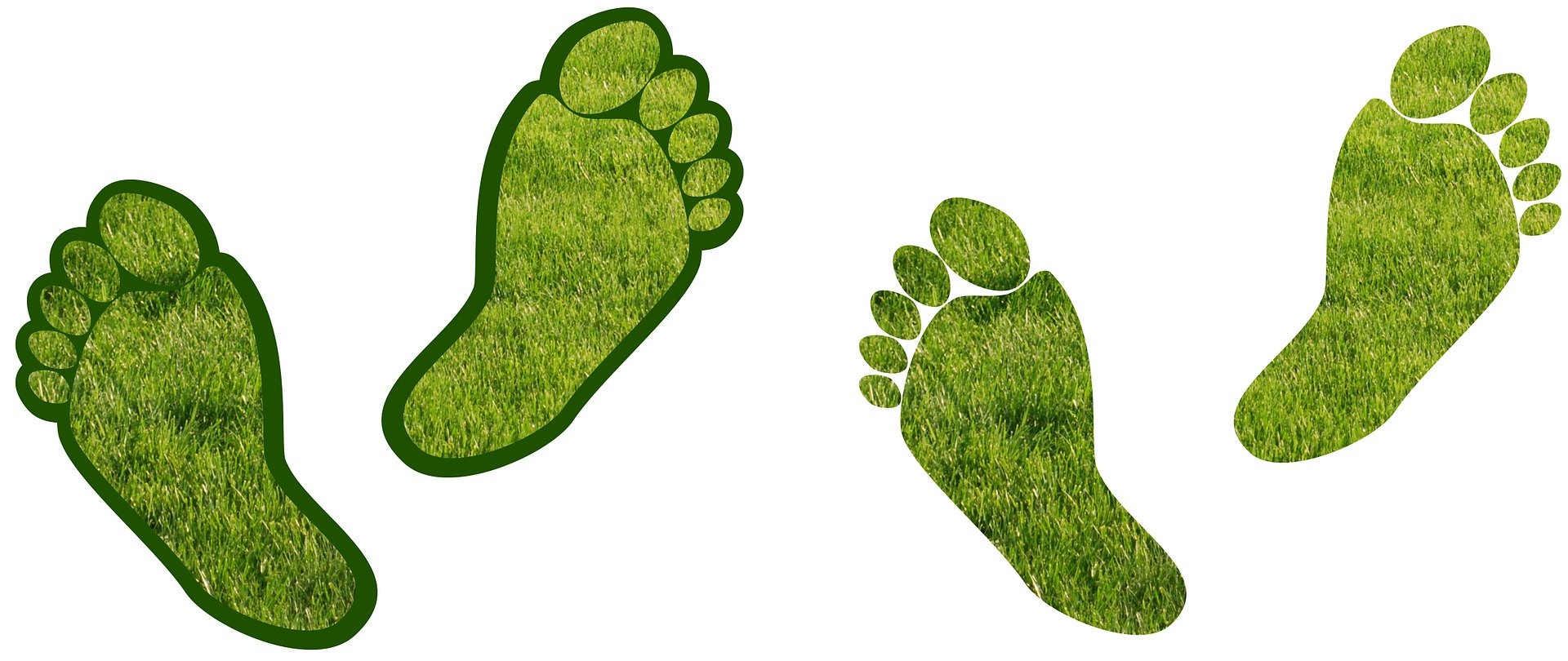 Amazon produces crazy amount of carbon and that's worrying