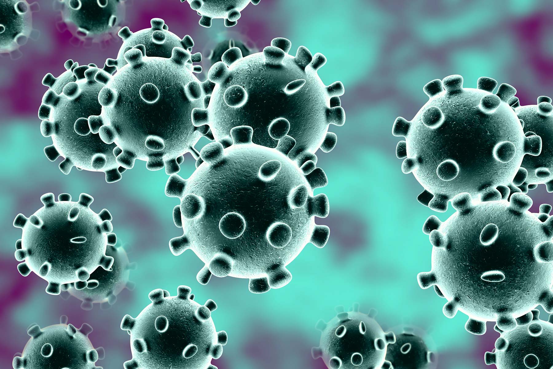 This is how the virus looks like