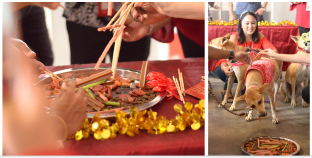 A special 'yee sang' treat.