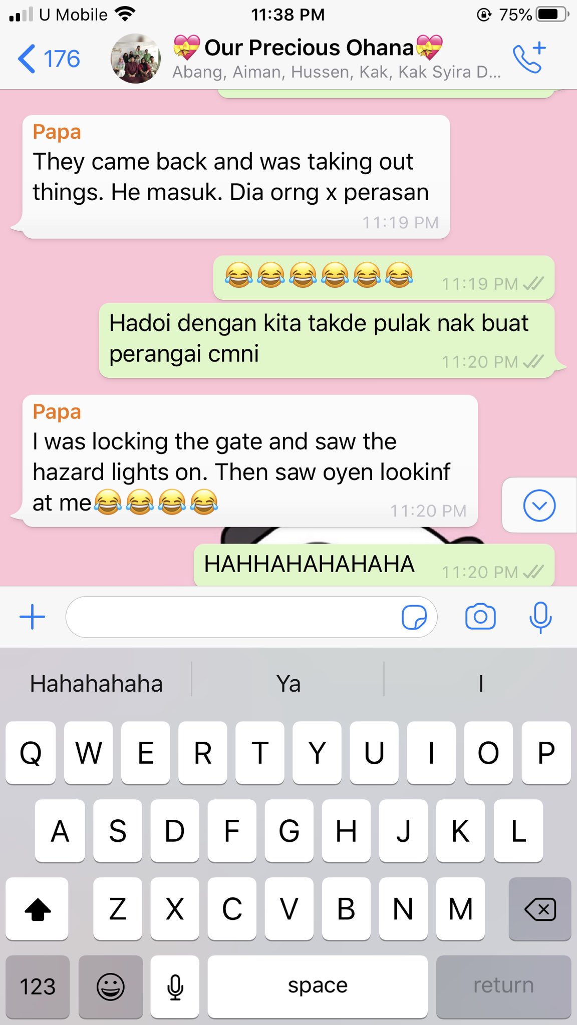 How the cat got into the car.