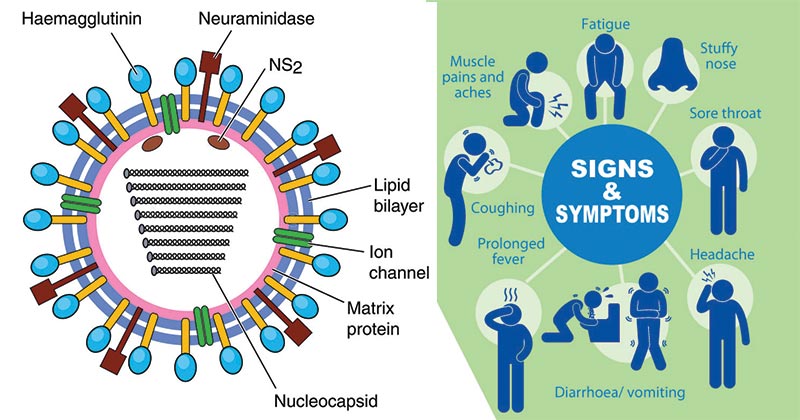 Keep a lookout for the symptoms