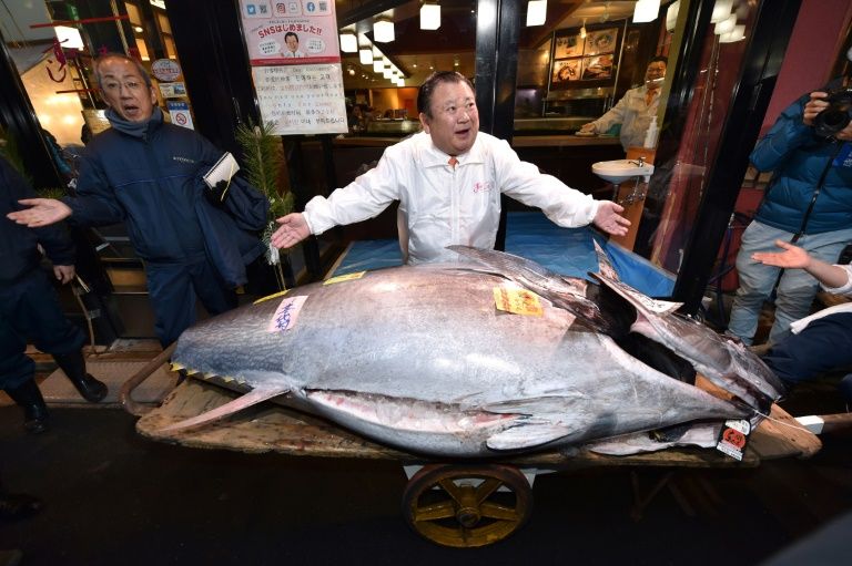 That's an expensive fish.