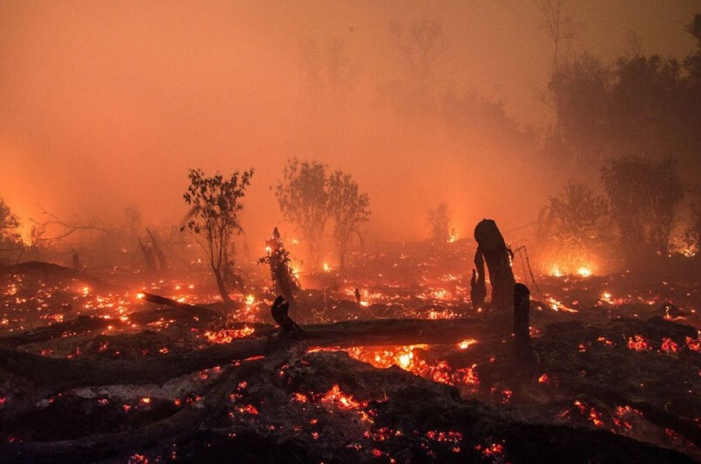 fires.jpg