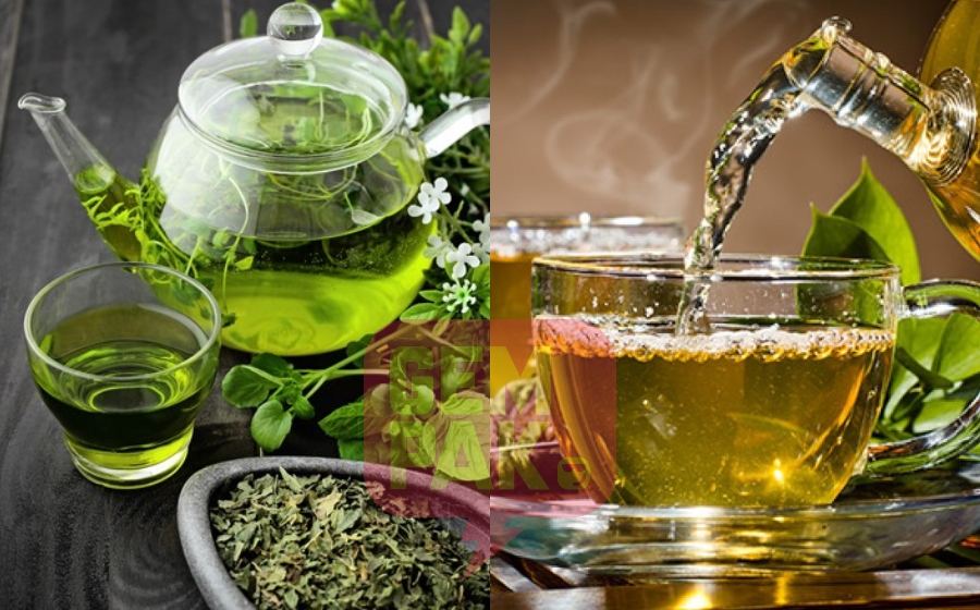 green-tea-bukan-untuk-kurus.jpg